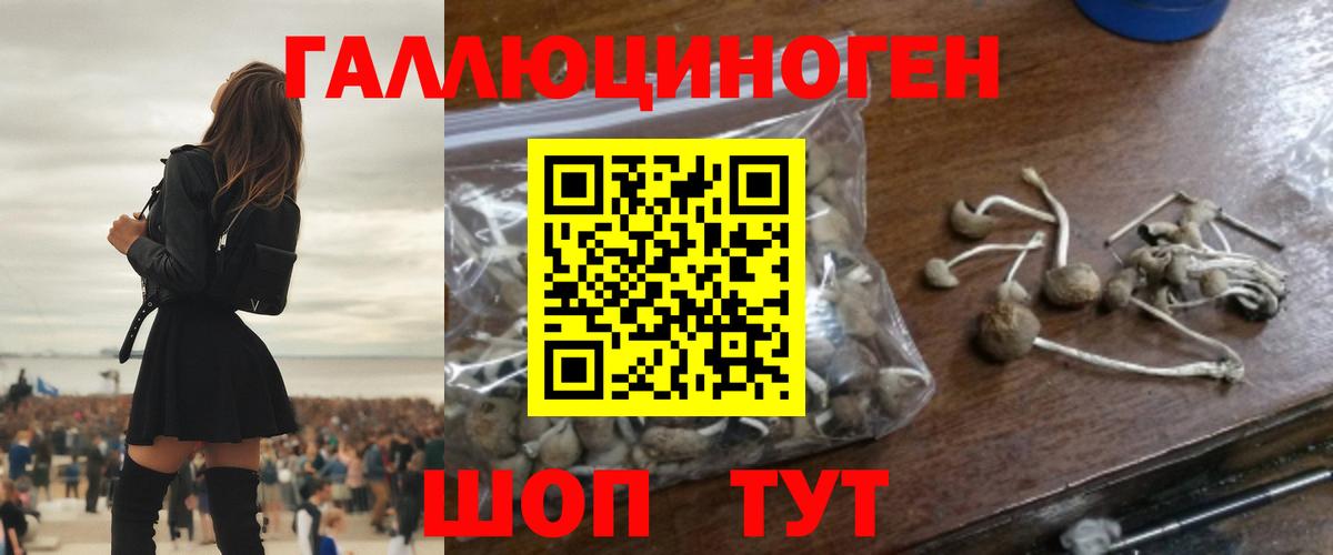 Галлюциногенные грибы Cubensis  Псилоцибиновые грибы мухоморы  Бугуруслан  Вход с VPN 